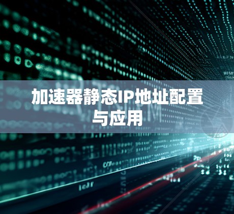 加速器静态IP地址配置与应用