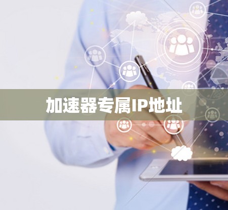 加速器专属IP地址