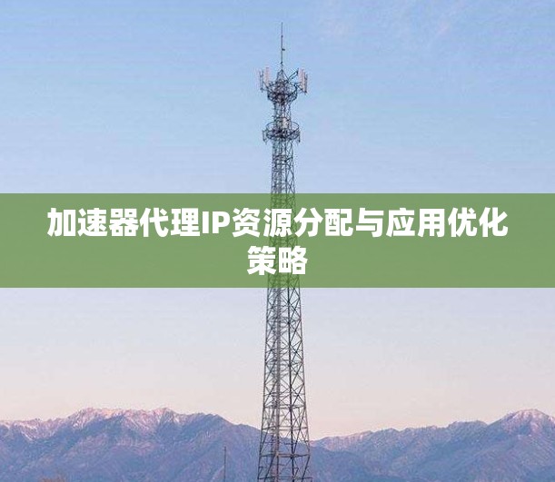 加速器代理IP资源分配与应用优化策略