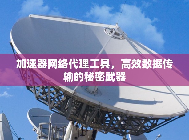 加速器网络代理工具，高效数据传输的秘密武器
