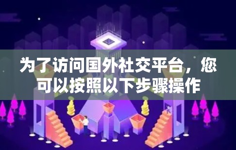 为了访问国外社交平台，您可以按照以下步骤操作