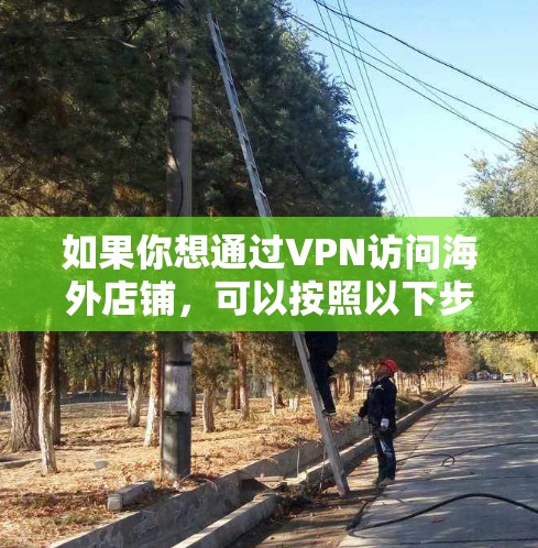 如果你想通过VPN访问海外店铺，可以按照以下步骤操作，以确保安全和合法性