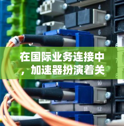 在国际业务连接中，加速器扮演着关键角色，以确保数据传输和处理的高效性。以下是加速器在国际业务连接中的关键作用
