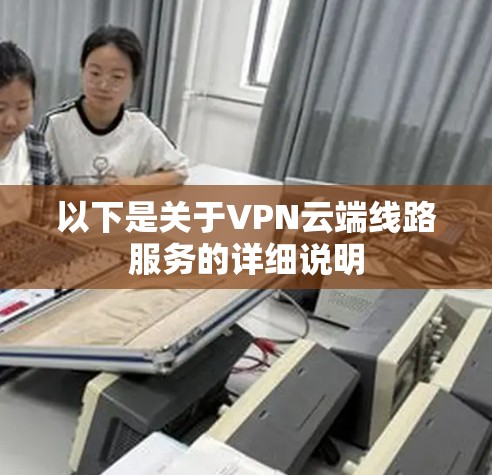 以下是关于VPN云端线路服务的详细说明