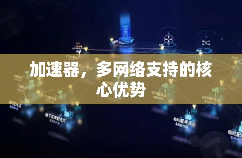 加速器，多网络支持的核心优势