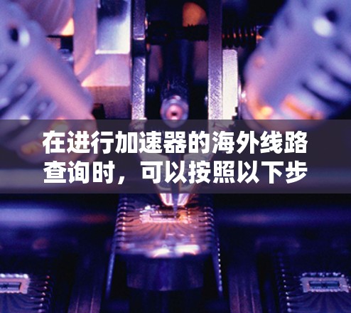 在进行加速器的海外线路查询时，可以按照以下步骤进行