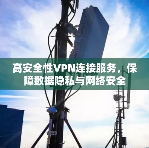 高安全性VPN连接服务，保障数据隐私与网络安全