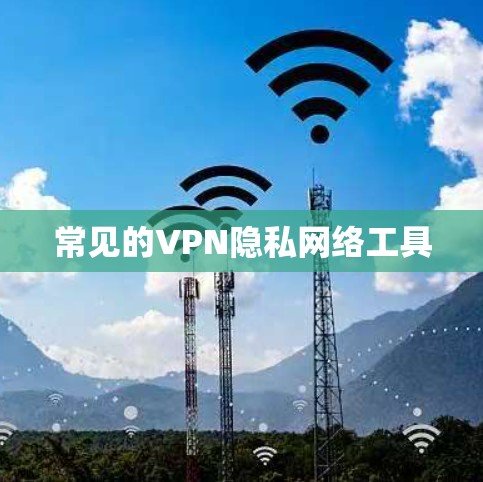 常见的VPN隐私网络工具