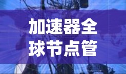 加速器全球节点管理是指在全球范围内部署和协调加速器节点，以实现高效、可靠的数据处理和传输。以下是对该系统的详细分析和总结