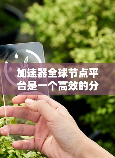 加速器全球节点平台是一个高效的分布式计算平台，专为需要处理大规模数据和高性能计算任务的用户设计。以下是对该平台的详细分析和总结