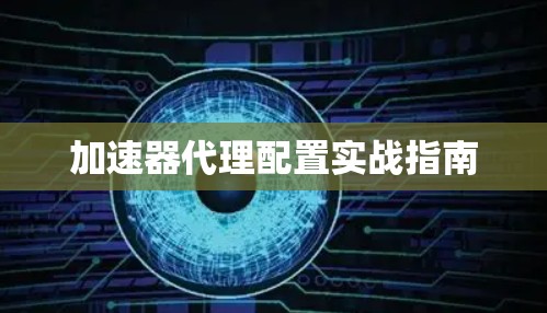 加速器代理配置实战指南
