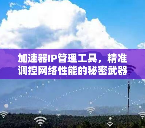 加速器IP管理工具，精准调控网络性能的秘密武器