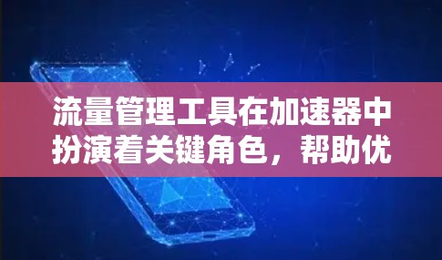 流量管理工具在加速器中扮演着关键角色，帮助优化数据传输效率。以下是对流量管理工具的详细分析