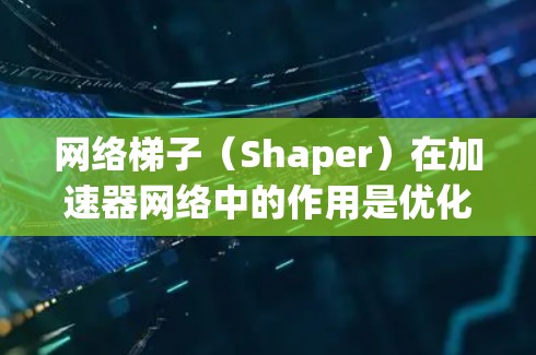 网络梯子（Shaper）在加速器网络中的作用是优化数据传输效率，帮助减少网络拥堵并提高整体性能。以下是对网络梯子的详细分析