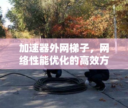 加速器外网梯子，网络性能优化的高效方案