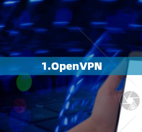 1.OpenVPN