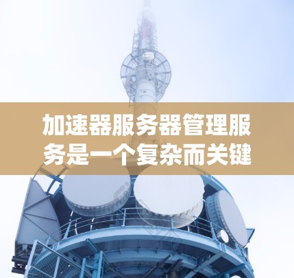 加速器服务器管理服务是一个复杂而关键的系统，用于监控和管理多个加速器，以确保它们高效运行并提供优质服务。以下是对这一服务的详细分解和实施建议