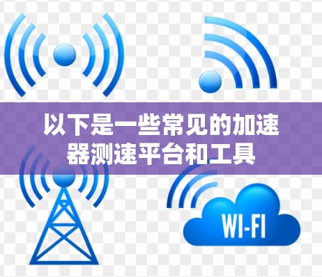 以下是一些常见的加速器测速平台和工具