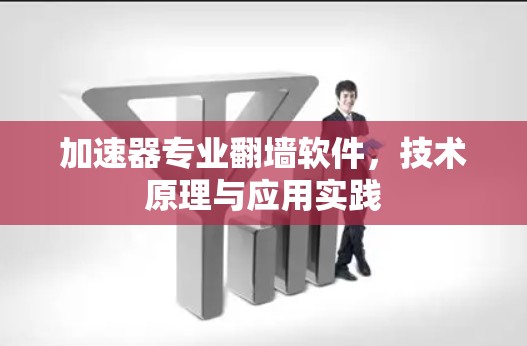 加速器专业翻墙软件，技术原理与应用实践