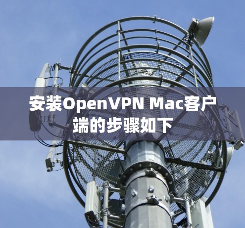 安装OpenVPN Mac客户端的步骤如下