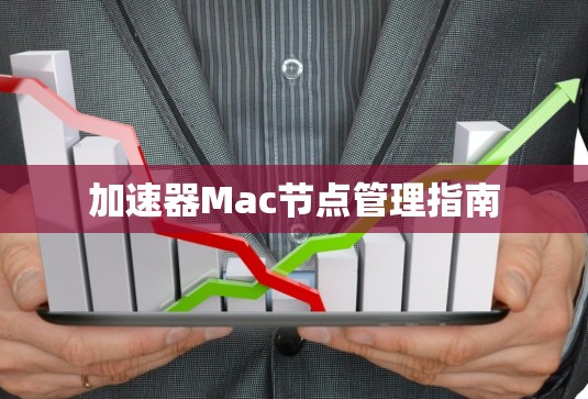 加速器Mac节点管理指南