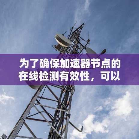 为了确保加速器节点的在线检测有效性，可以按照以下步骤进行