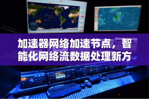 加速器网络加速节点，智能化网络流数据处理新方案