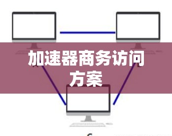 加速器商务访问方案