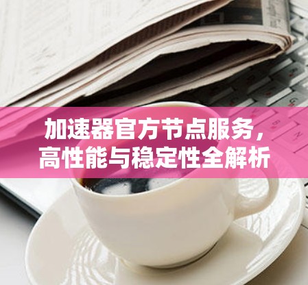加速器官方节点服务，高性能与稳定性全解析