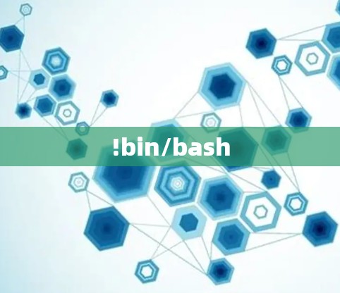 !bin/bash