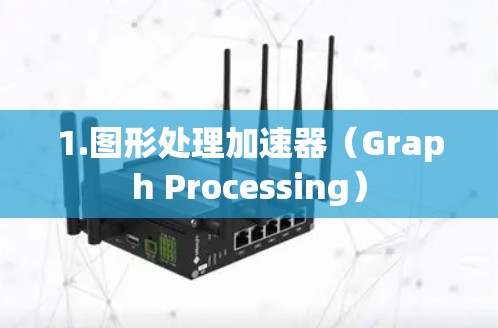 1.图形处理加速器（Graph Processing）