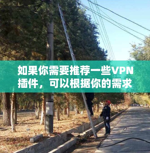 如果你需要推荐一些VPN插件，可以根据你的需求和预算选择适合的工具。以下是一些常用且受欢迎的VPN插件推荐