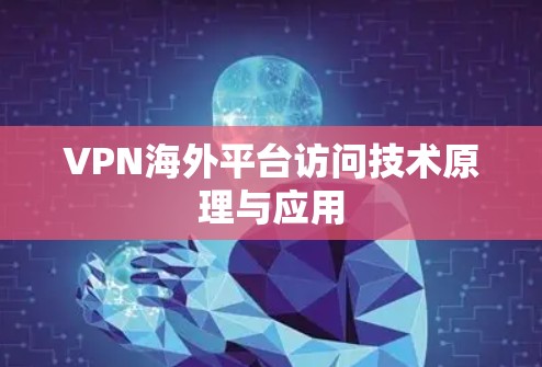 VPN海外平台访问技术原理与应用