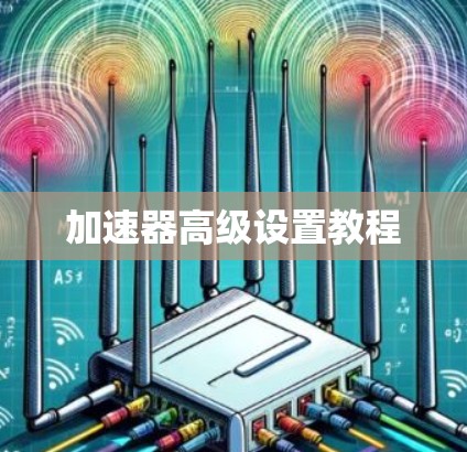 加速器高级设置教程