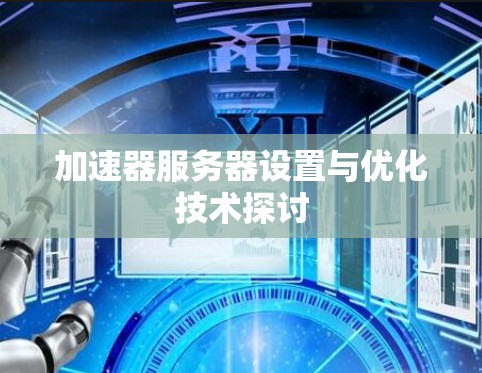 加速器服务器设置与优化技术探讨