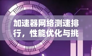 加速器网络测速排行，性能优化与挑战分析