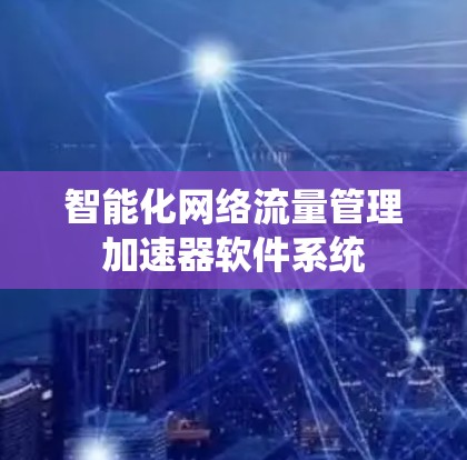 智能化网络流量管理加速器软件系统