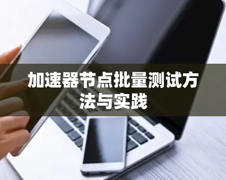加速器节点批量测试方法与实践