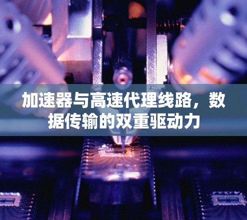 加速器与高速代理线路，数据传输的双重驱动力