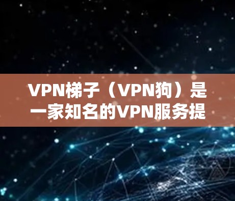 VPN梯子（VPN狗）是一家知名的VPN服务提供商，提供高效、安全的网络加密解决方案。以下是对VPN梯子的稳定性评测，帮助您更好地了解其性能和适用性