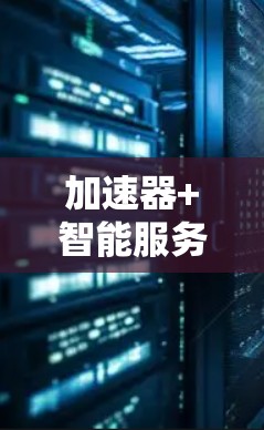 加速器+智能服务器，数据处理的高效匹配