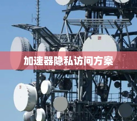 加速器隐私访问方案