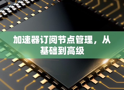 加速器订阅节点管理，从基础到高级