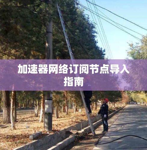 加速器网络订阅节点导入指南