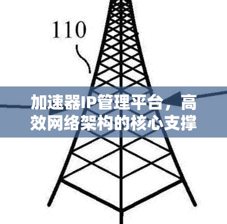 加速器IP管理平台，高效网络架构的核心支撑