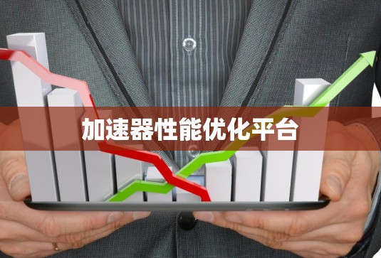 加速器性能优化平台