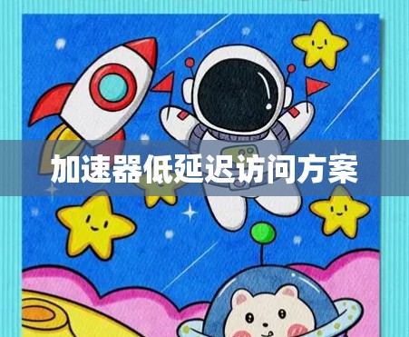 加速器低延迟访问方案