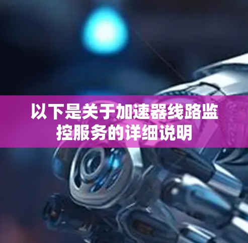 以下是关于加速器线路监控服务的详细说明