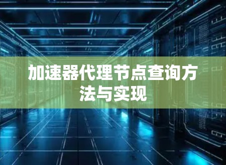 加速器代理节点查询方法与实现