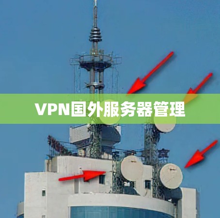 VPN国外服务器管理